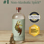 Seedlip Spice 94
